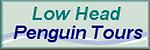 Penguin Tours
